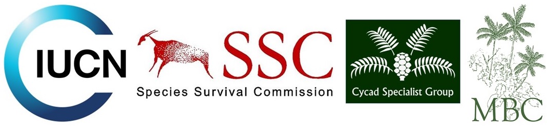 CSG logo group