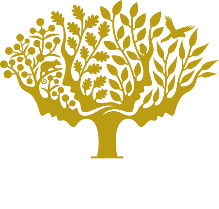 Adapting the botanical landscape of Melbourne Gardens (Royal Botanic Gardens  Victoria) in response to climate change – APGA