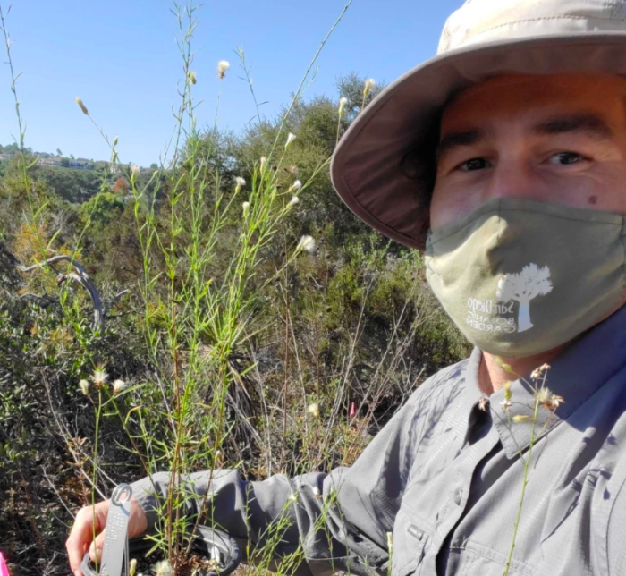 Tony Gurnoe, San Diego Botanic Garden’s director of conservation horticulture, shows a local native plant, called Baccharis (Baccharis vanessae) that will likely be planted at Ocean Knoll Canyon. (Photo credit: San Diego Botanic Garden)