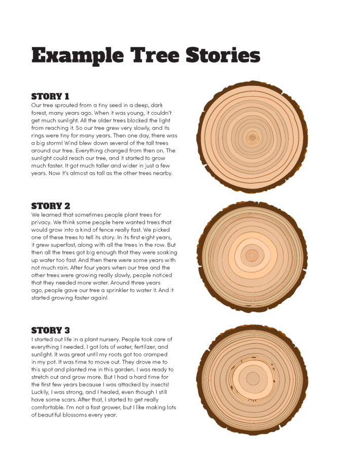 three images of three different tree cookies with rings and damage.