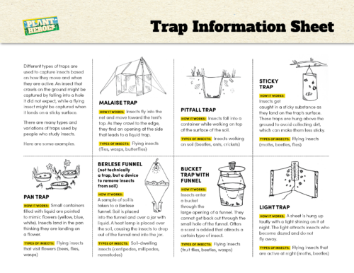 images of different types of traps used to catch insects