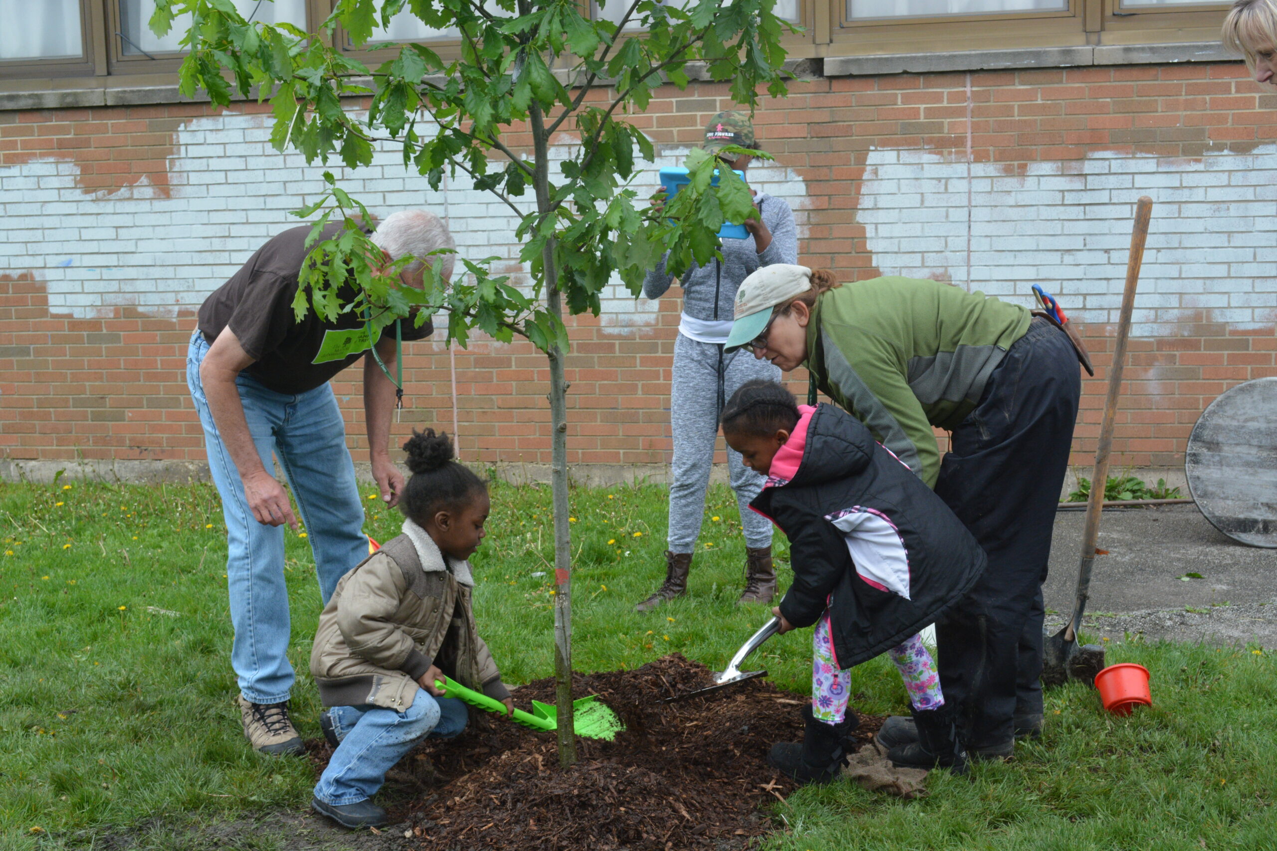 The Morton Arboretum - community tree planting