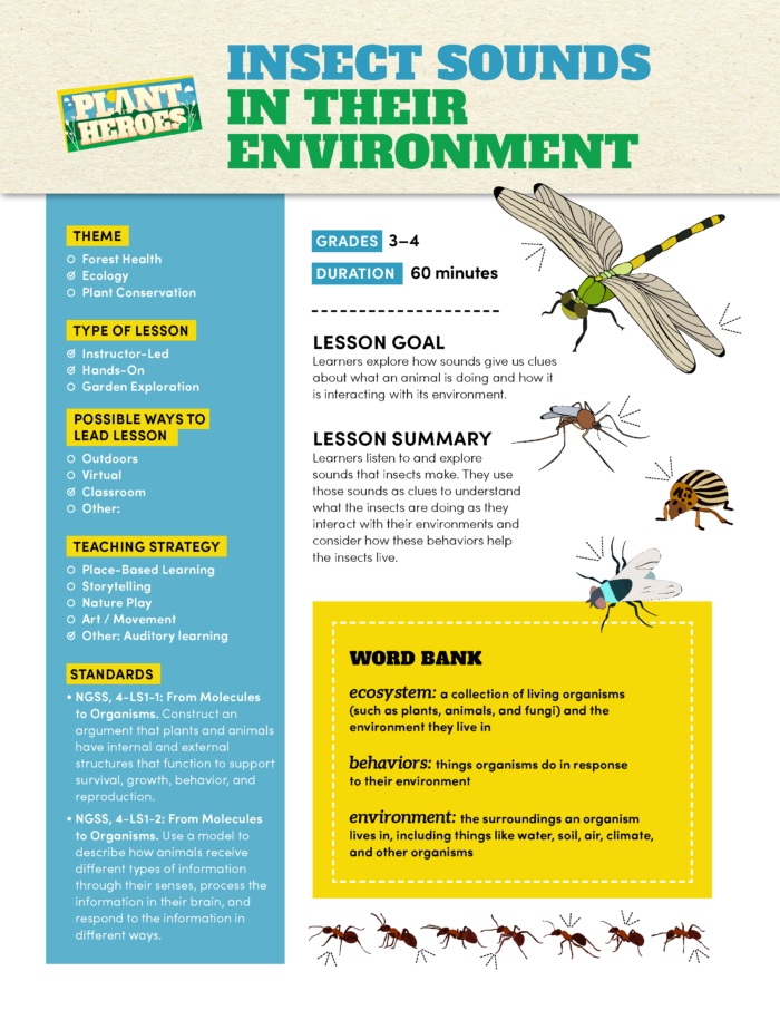 cover image of insect sounds lesson plan with a dragonfly image on it